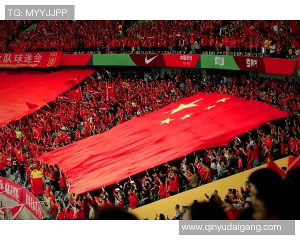 足球明星畅谈中国足球发展现状与未来潜力的深度分析与展望