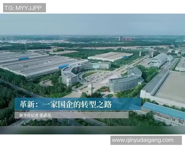 重庆排球队进攻革新之路探秘与战术创新的深度分析