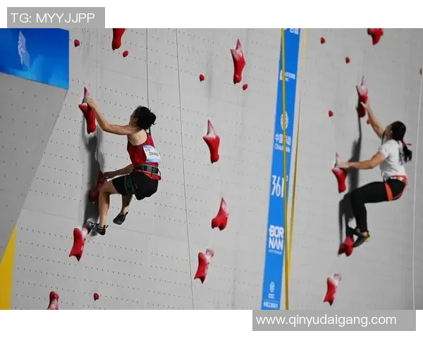 攀岩灵活性排行榜：杭州攀岩队位居第3名